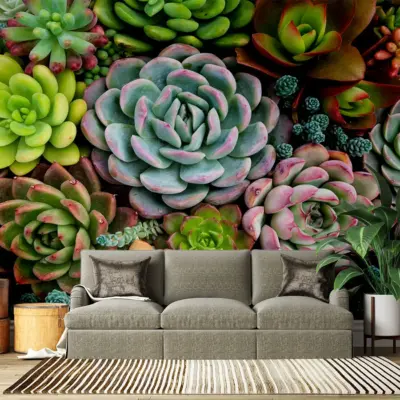 Fototapet Planton - Cactus Multicolor