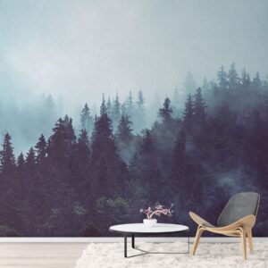 Muntele de ceata - Fototapet Personalizat