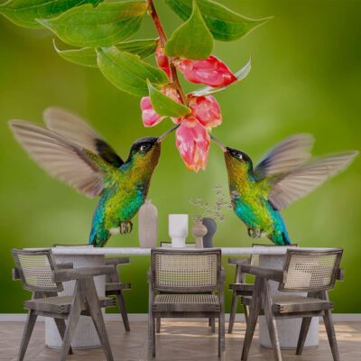 Fototapetul "Păsări Colibri Colorate" adaugă o explozie de culoare și grăție în interiorul casei tale. Cu un design captivant ce prezintă colibri în zbor, acest decor emană vitalitate și frumusețe.